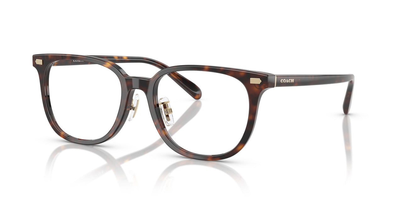 5120 - Tortoise