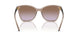294068 - Brown - Violet Gradient Brown