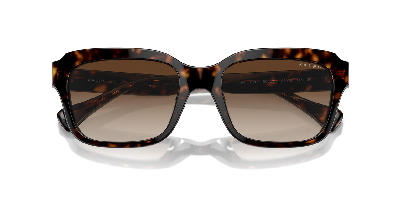 500313 - Brown - Gradient Brown