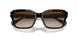 500313 - Brown - Gradient Brown