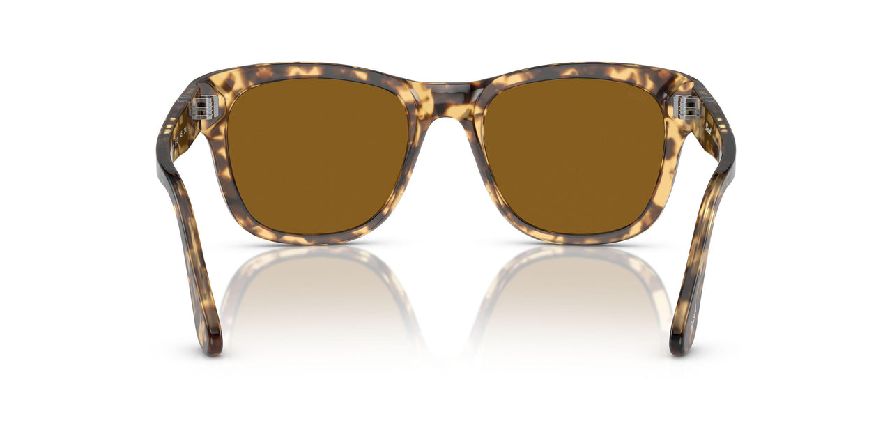 105633 - Brown - Brown