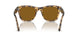 105633 - Brown - Brown