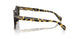 177887 - Tortoise - Grey