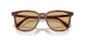 26E10R - Brown - Yellow
