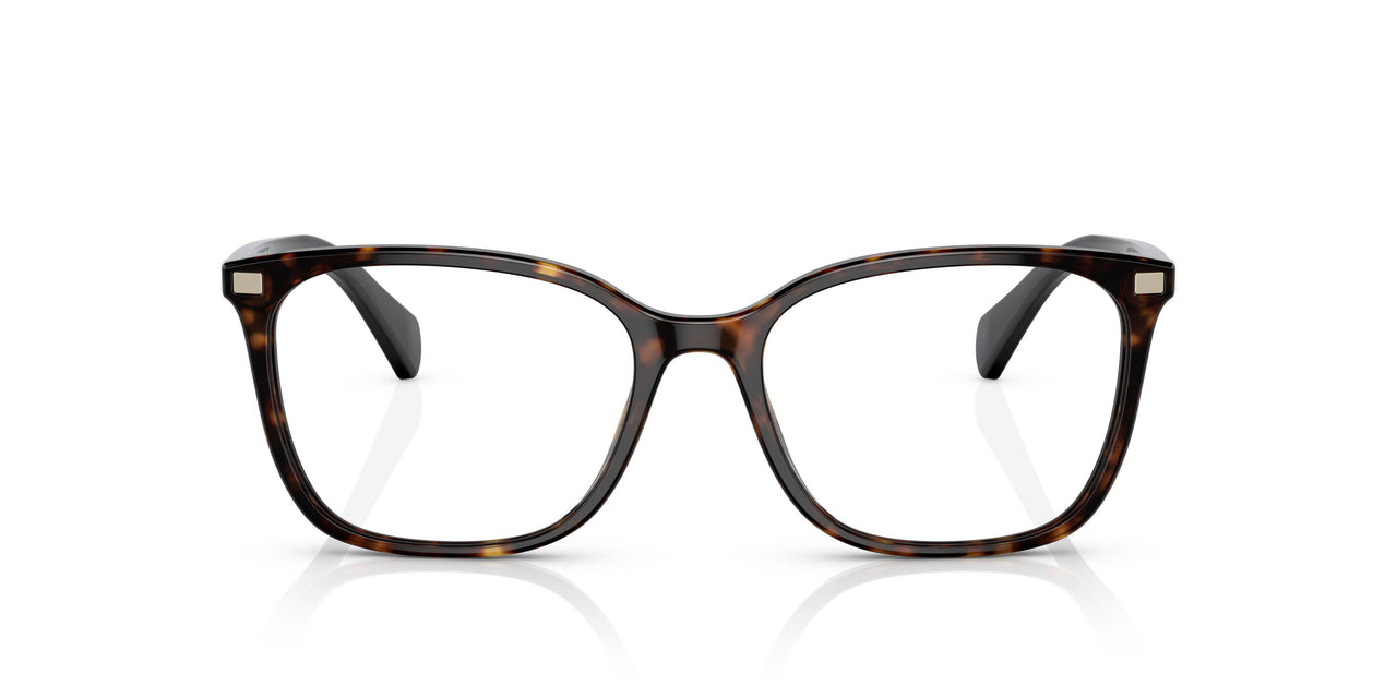 5003 - Tortoise
