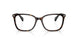 5003 - Tortoise