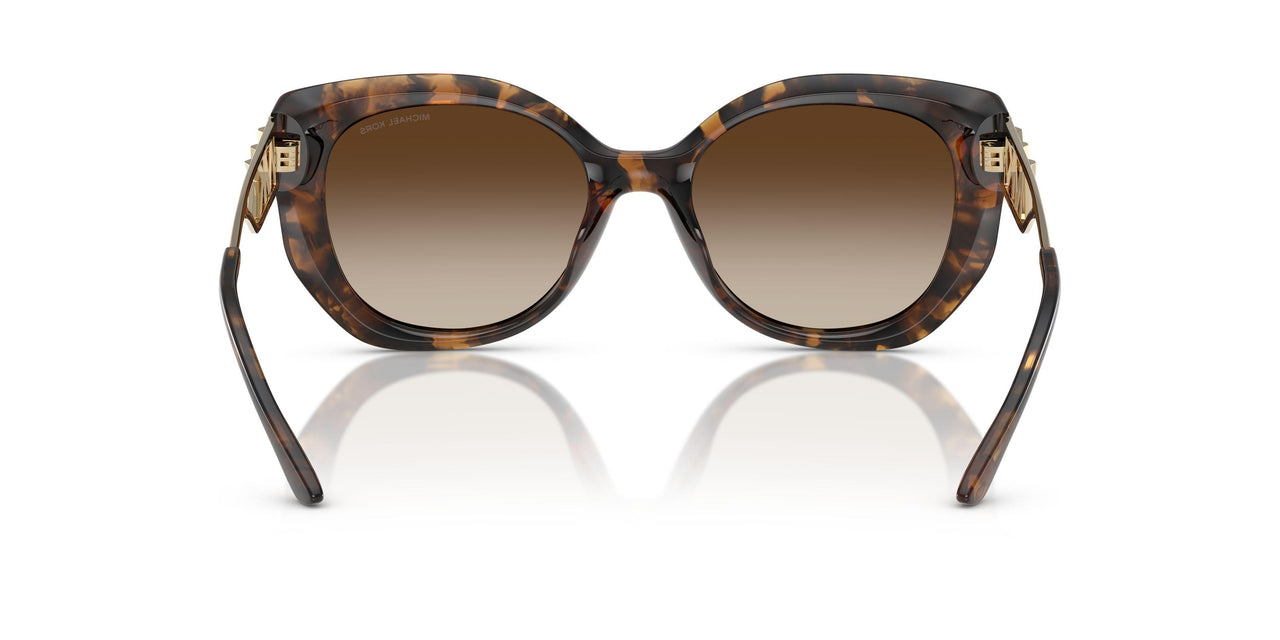 300613 - Tortoise - Brown Gradient