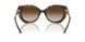 300613 - Tortoise - Brown Gradient