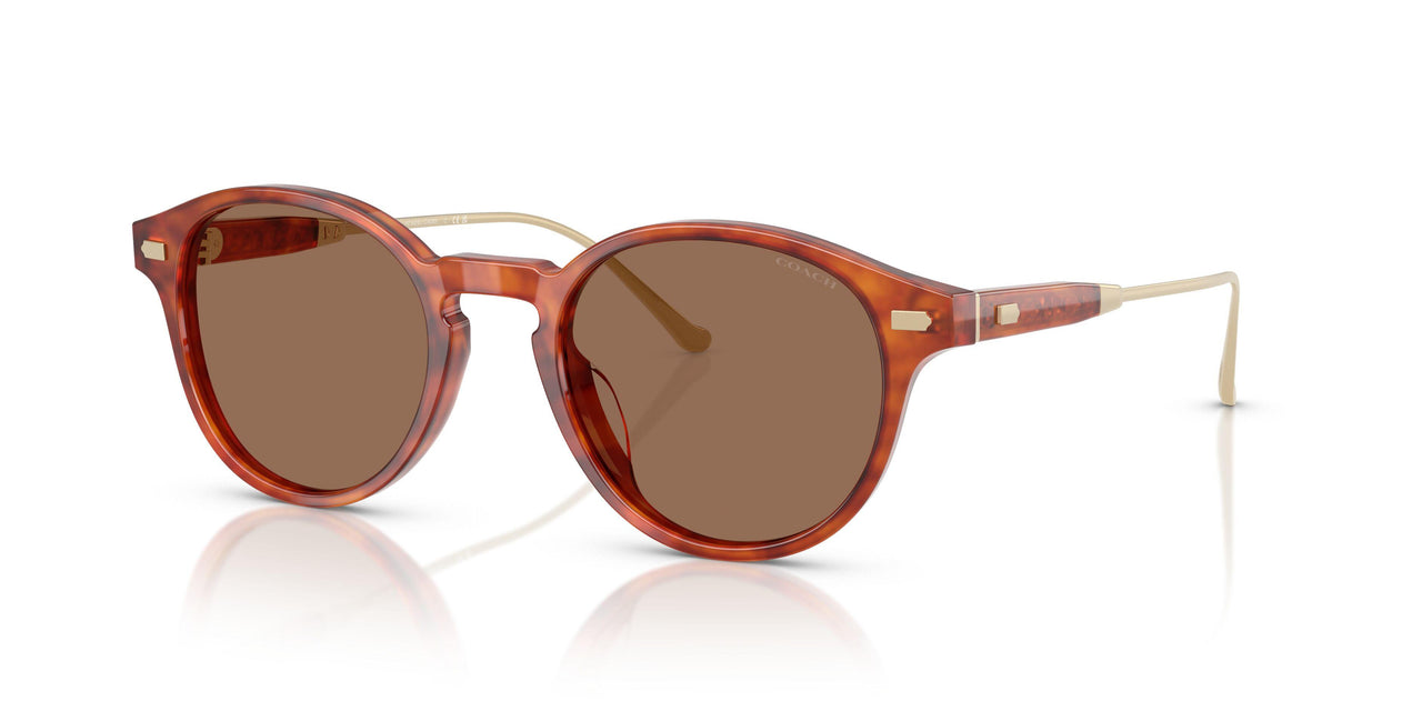 577473 - Tortoise - Brown Solid