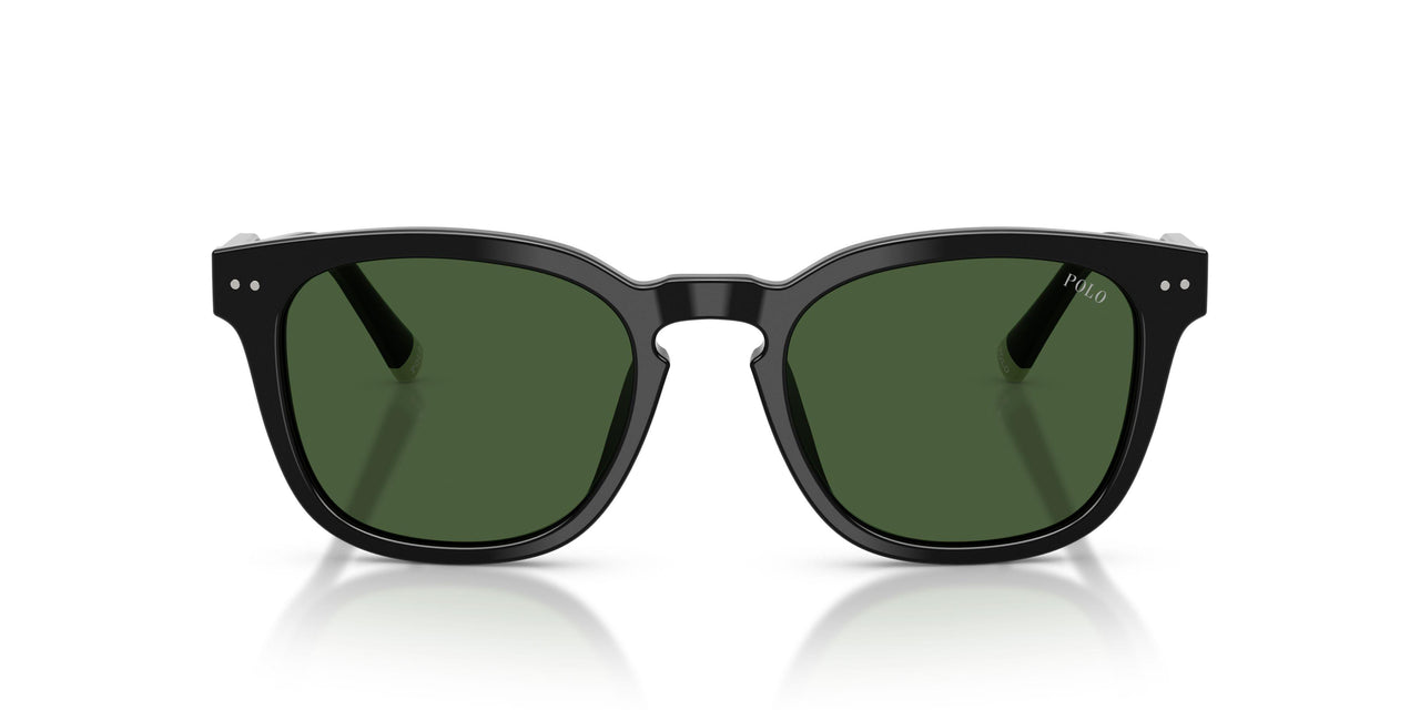500171 - Black - Dark Green