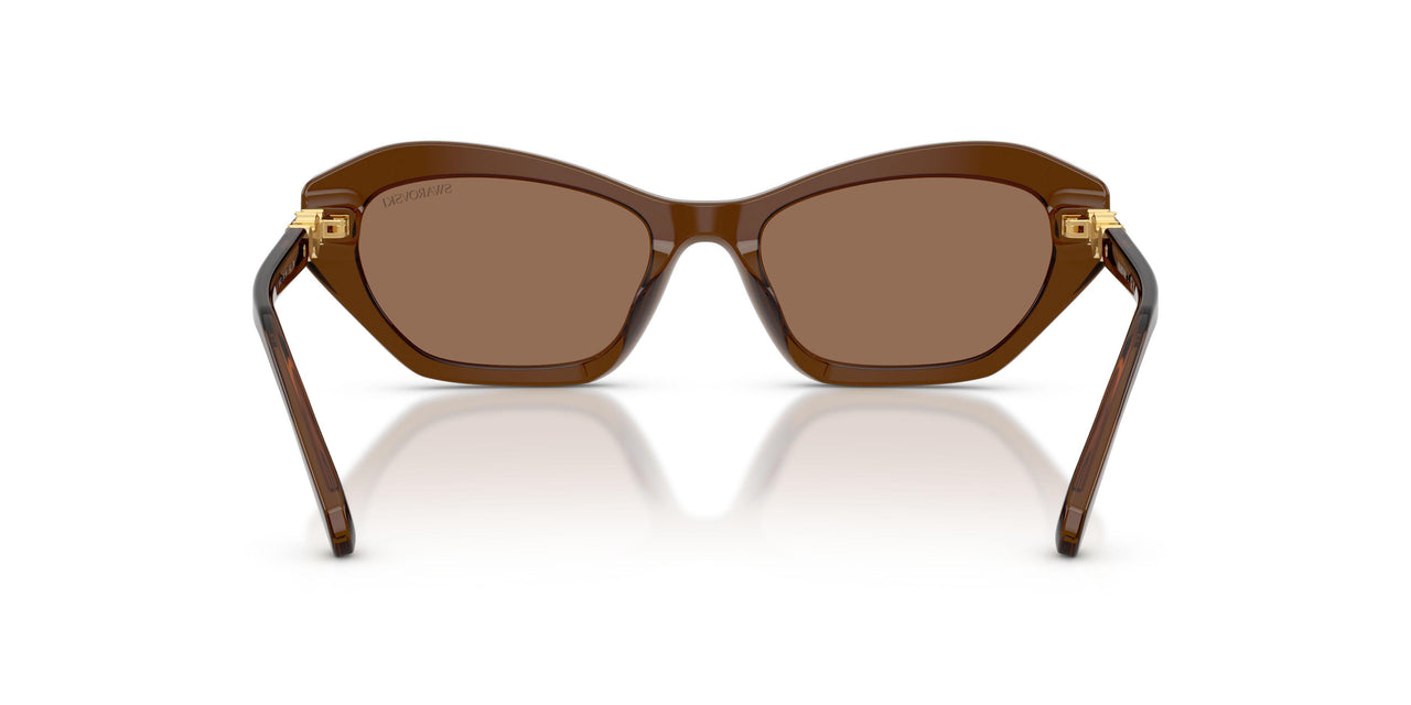 108473 - Brown - Dark Brown