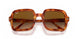 130051 - Red - Clear Gradient Brown