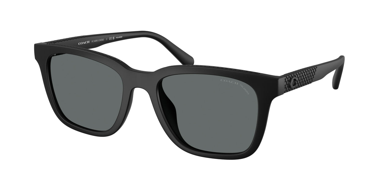 Coach Cad81 8426U Sunglasses