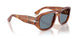 96/56 - Brown - Light Blue