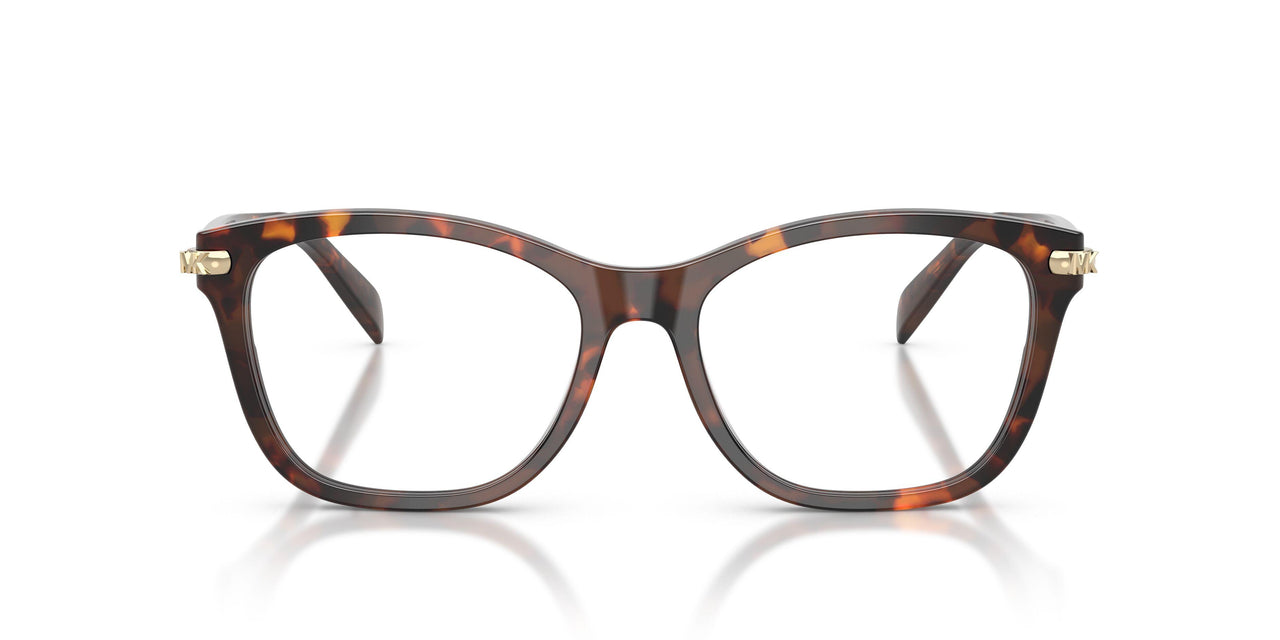 4031 - Tortoise