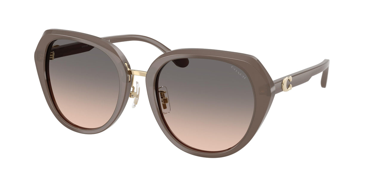 Coach Cby93 8436 Sunglasses