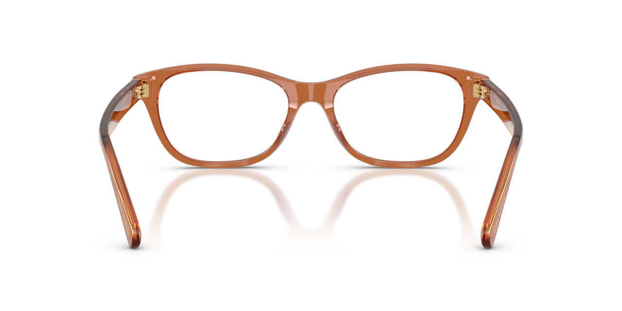 2078 - Brown