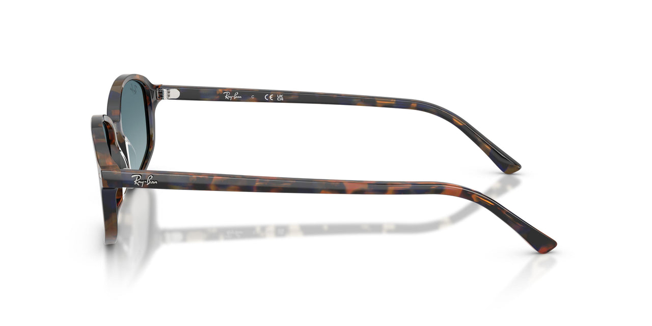 13563M - Tortoise - Blue Gradient Grey