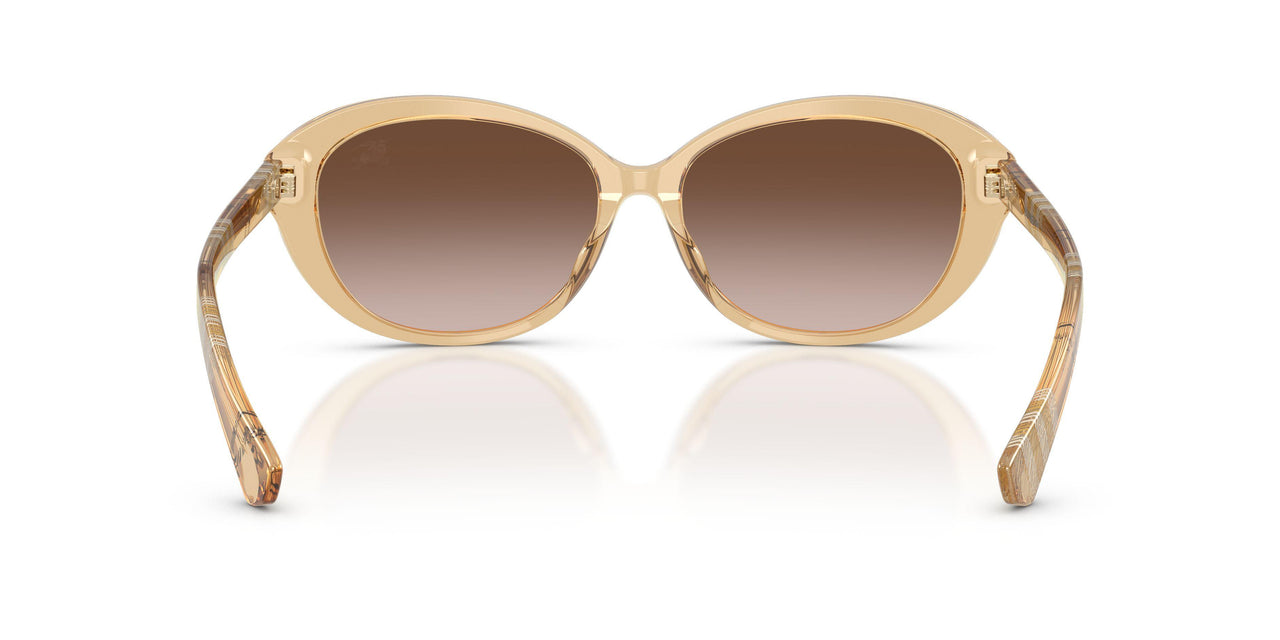 416713 - Yellow - Brown Gradient