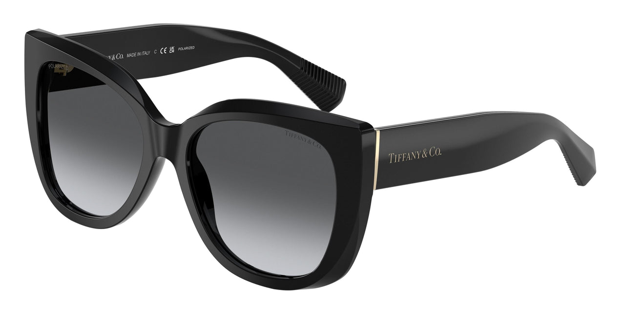 8001T3 - Black - Polar Grey Gradient