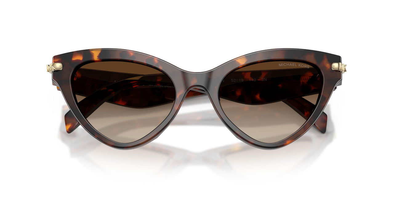 403113 - Tortoise - Smoke Gradient