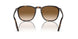902/51 - Tortoise - Clear/brown
