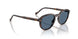 W65680 - Brown - Dark Blue