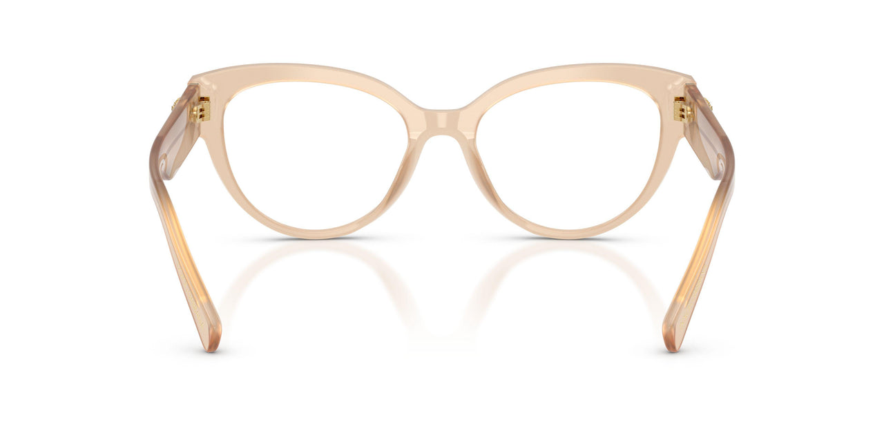 3089 - Brown