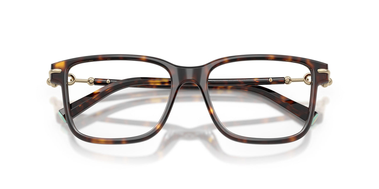 8015 - Tortoise