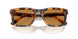 591693 - Tortoise - Light Brown