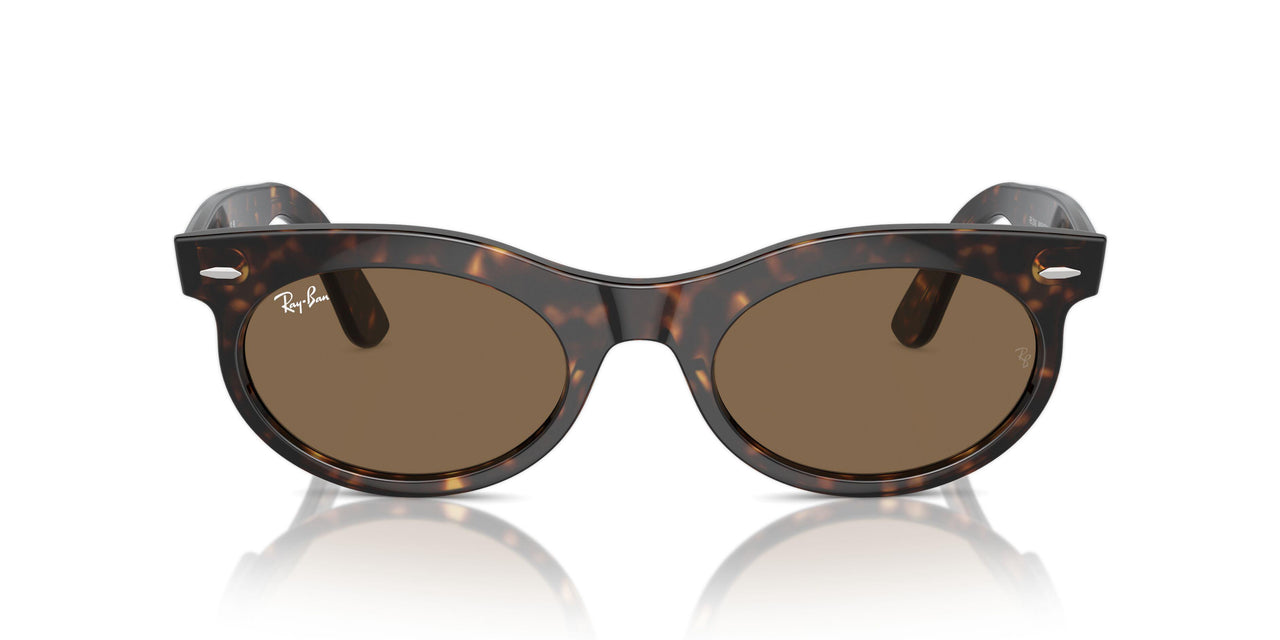 902/GI - Tortoise - Clear/brown