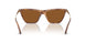 509673 - Brown - Dark Brown