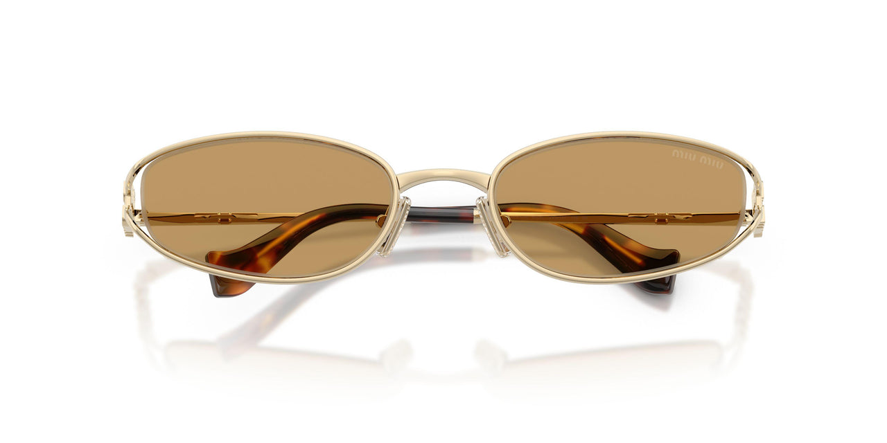 ZVN10Y - Gold - Brown