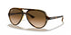 710/51 - Havana - Crystal Brown Gradient
