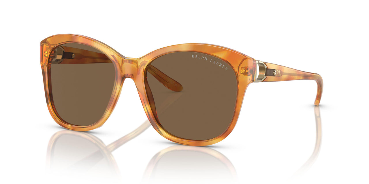605173 - Tortoise - Brown