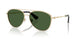 110971 - Gold - Dark Green