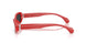 001/48 - Red - Polar Black