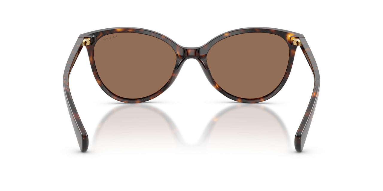 500373 - Brown - Brown
