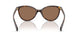500373 - Brown - Brown