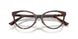5002 - Tortoise