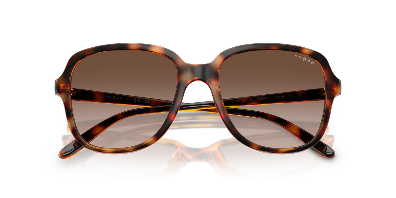 W65613 - Brown - Gradient Dark Brown