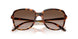 W65613 - Brown - Gradient Dark Brown