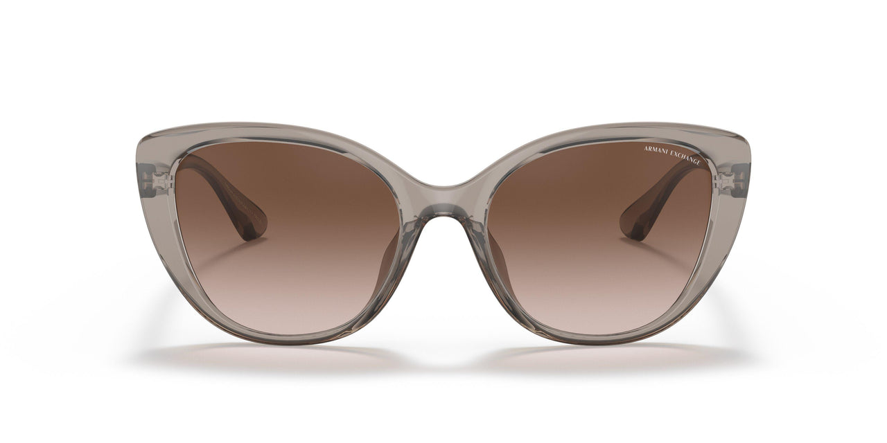 824013 - Brown - Gradient Brown