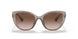 824013 - Brown - Gradient Brown