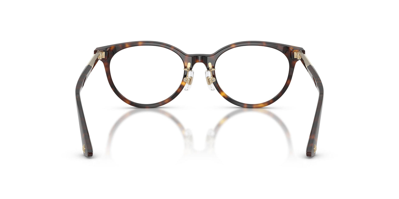 5002 - Tortoise