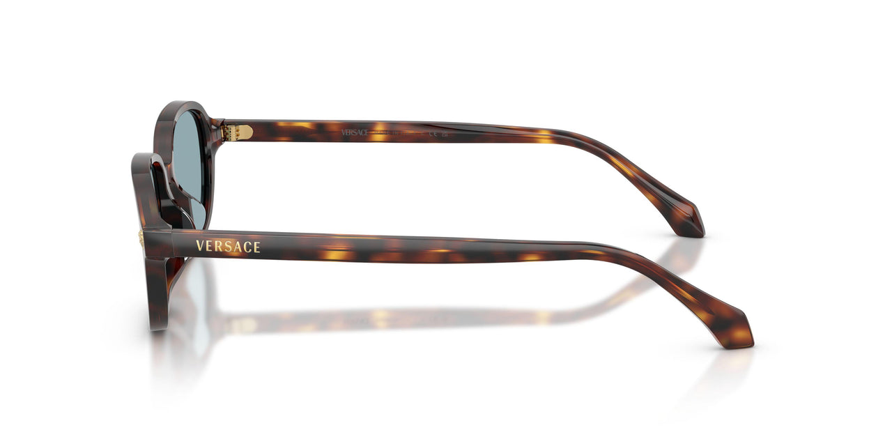 553780 - Brown - Blue