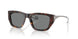 200387 - Tortoise - Dark Grey
