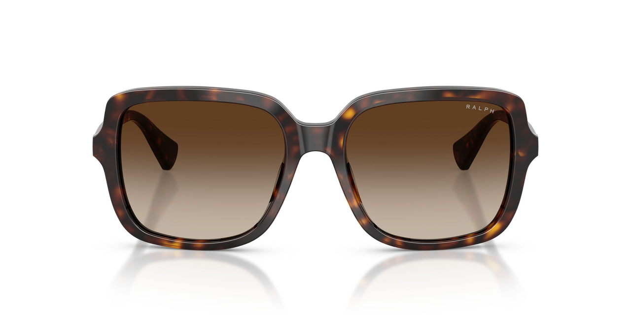 500313 - Tortoise - Brown Gradient