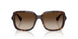 500313 - Tortoise - Brown Gradient