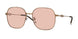 Diesel 1010D Sunglasses
